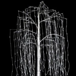 Arbre Lumineux Saule 600 LEDS - Fééric Christmas