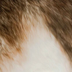 Décoration Renne Géant - Feeric Christmas 7 Décoration Renne Géant - Feeric Christmas -Dr. Oetker Décoration Boutique 3560239291381 3