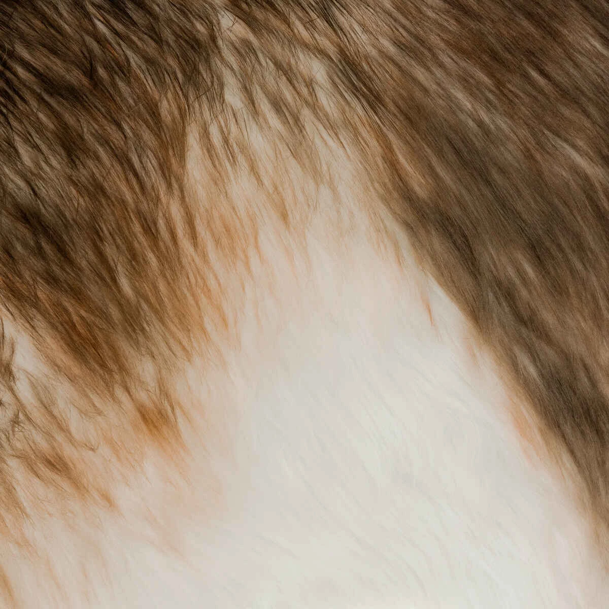 Décoration Renne Géant - Feeric Christmas 5 Décoration Renne Géant - Feeric Christmas – Image 3