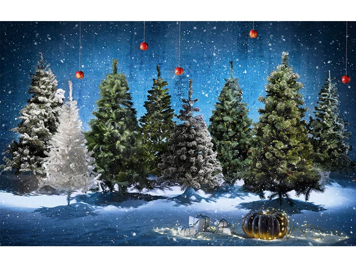 Sapin Gracious Imperial - Feeric Christmas 2 Sapin Gracious Imperial - Feeric Christmas